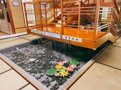 -汤泉良子(金源店)