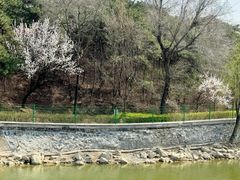 -北京张裕爱斐堡酒庄