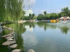 -莲湖公园