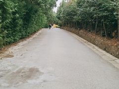 -雨花胜境