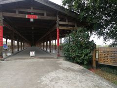 -福建鲤鱼洲酒店