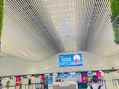 -广州白云国际机场-T2航站楼