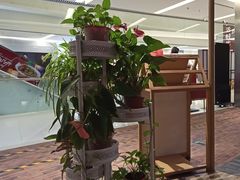 -渝信川菜 · 川味家常菜(财富购物中心店)