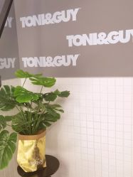 -TONI&GUY