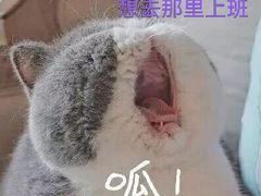 -发现花馆西餐厅FA Restaurant