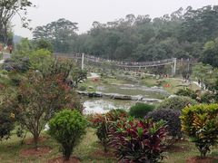 -东莞植物园