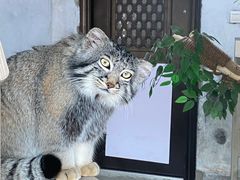 -青藏高原野生动物园