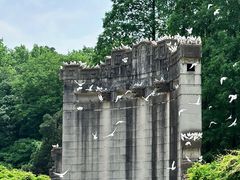 -WeLope紫金山探险公园