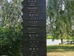 -羊亭河湿地公园