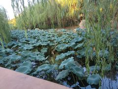 -芜湖方特东方神画