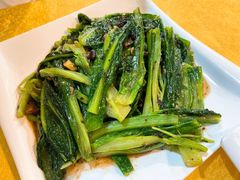 豆豉鲮鱼油麦菜-烧鹅妹饭店