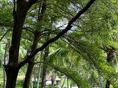 -海南清水湾莱佛士酒店