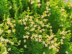 -白塘生态植物园
