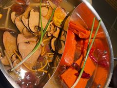 -季季山·云南野生菌火锅(上海首店)