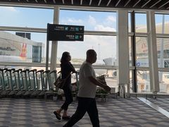 -厦门高崎国际机场-T4航站楼