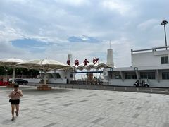 -碧海金沙