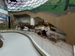 -陕西自然博物馆