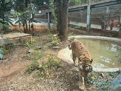 -昆明动物园
