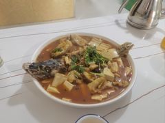 -煲来饱去冷水鱼