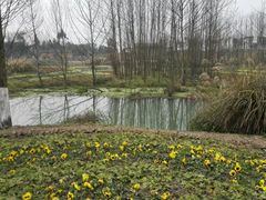 -桤木河湿地公园