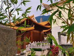 -深圳仙湖植物园