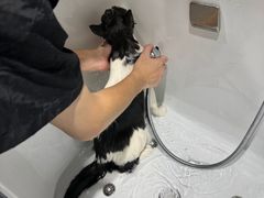 -FAELING PETS美天灵宠物(合生汇店)