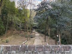 -仙霞关景区