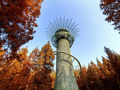 -黄海国家森林公园