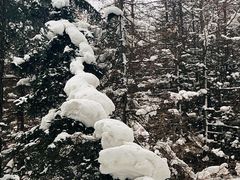 -芦芽山旅游度假区