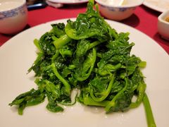 酒香豆苗-老吉士酒家(天平路店)