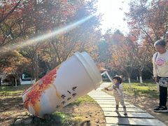 -广州市帽峰山景区