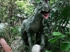 -呀路古热带植物园