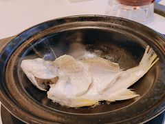 -半岛宴·湛江精品菜(蛇口店)