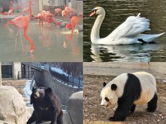 -石家庄市动物园