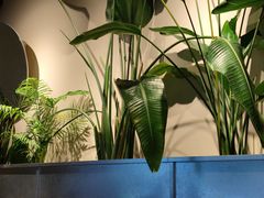 -Wagas沃歌斯(浦东陆家嘴投资大厦店)
