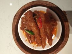 -南枝记