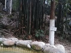 -三江森林温泉度假区