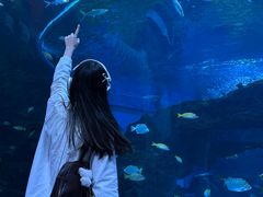 -海合安成都极地海洋公园