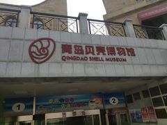 -青岛贝壳博物馆