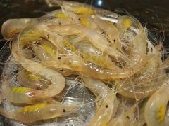 android_upload_pic-渔傅·蓝海岸霞浦海鲜(正祥店)