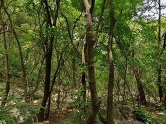 -黑龙潭风景区