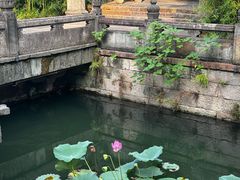 -昭明书院