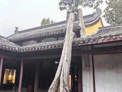 -太平天国侍王府