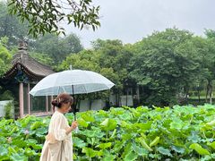 -莲湖公园