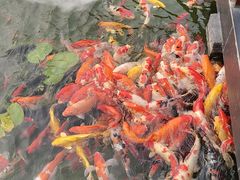 -濮园 · 四合院餐厅