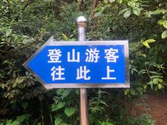 -长虫山生态公园风景林