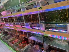 -溪岸路花鸟市场
