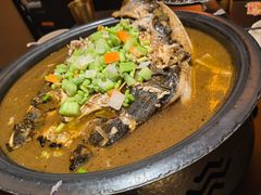 -探鱼·鲜青椒爽麻烤鱼(北京路天河城店)