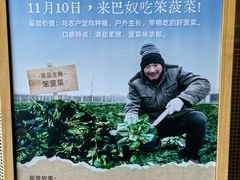 -巴奴毛肚火锅概念餐厅