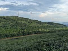-东白山